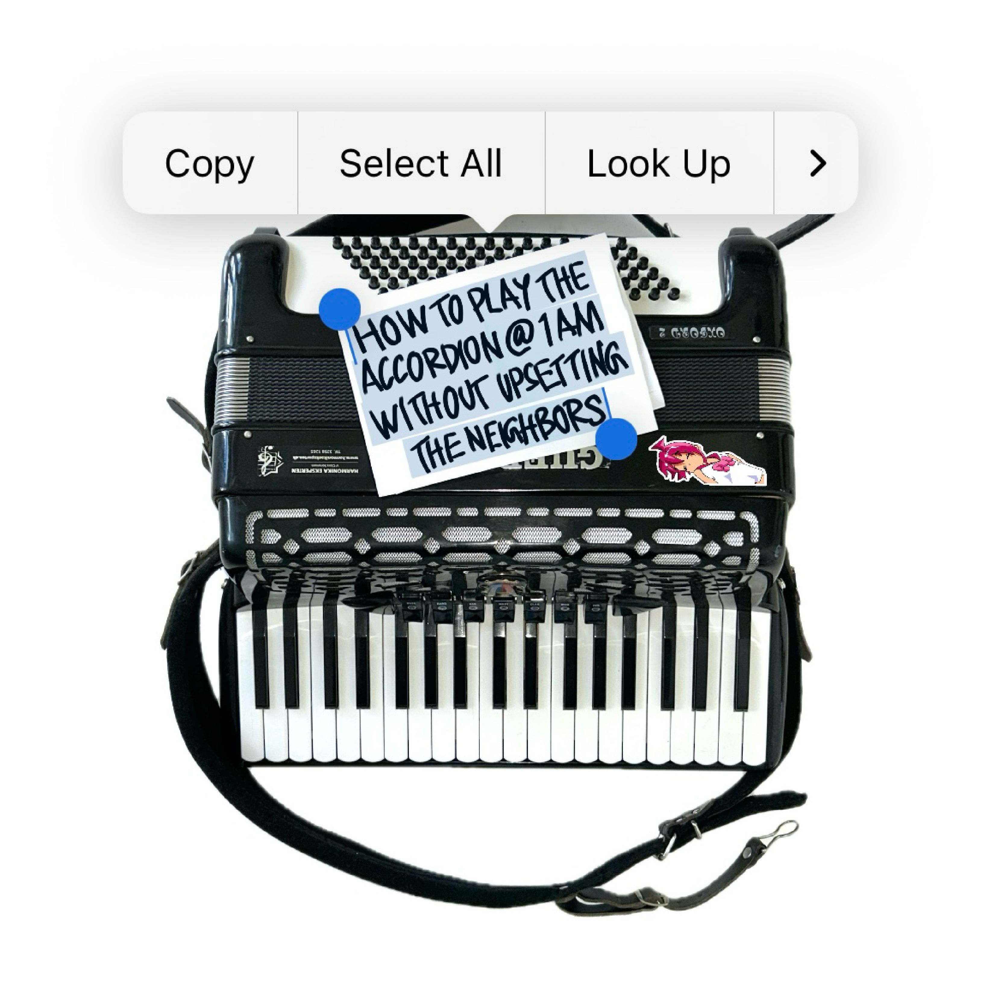 HOW TO PLAY THE ACCORDION @ 1AM WITHOUT UPSETTING THE NEIGHBORS